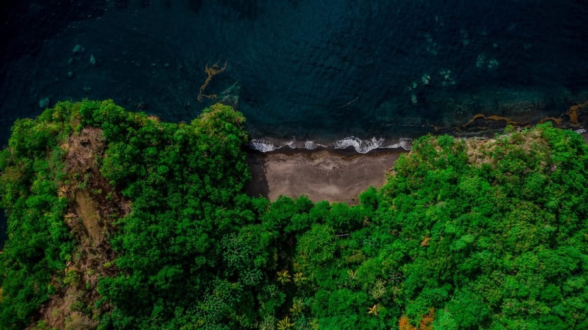 Development opportunity at Coulls Bay